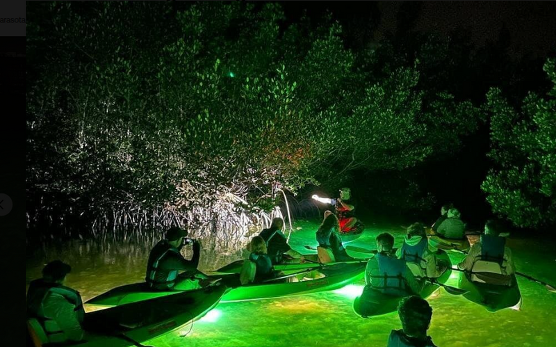 Sharkey's Glass Bottom Fish Feeding LED Night Tour