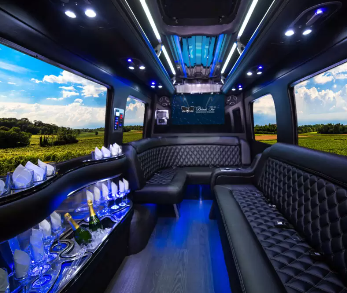 Limo and Party Buses