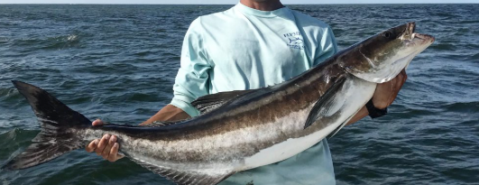 Fishing Charters