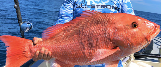 Fishing Charters